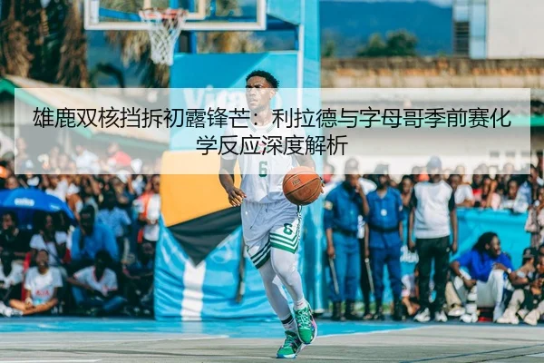 xiong-lu-shuang-he-dang-chai-chu-lu-feng-mang-li-la-de-yu-zi-mu-ge-ji-qian-sai-hua-xue-fan-ying-shen-du-jie-xi-2-416.jpg