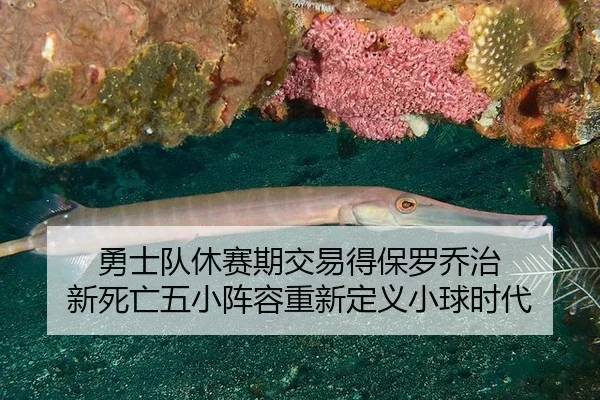 yong-shi-dui-xiu-sai-qi-jiao-yi-de-bao-luo-qiao-zhi-xin-si-wang-wu-xiao-zhen-rong-chong-xin-ding-yi-xiao-qiu-shi-dai-2-502.jpg